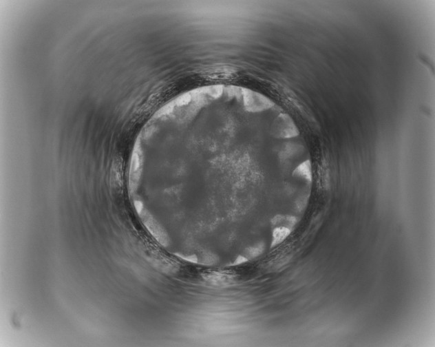 X0000102490561200808291652