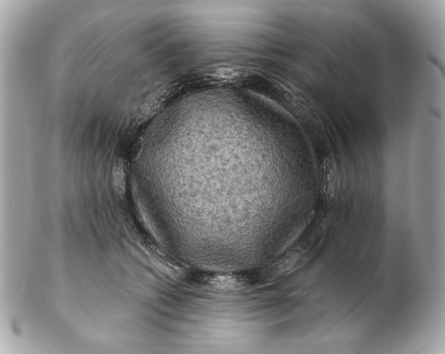 X0000102490562200808291652