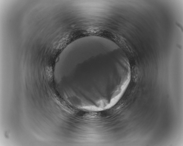 X0000102490563200808291652