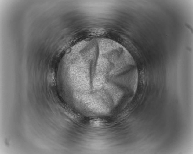 X0000102490564200808291652