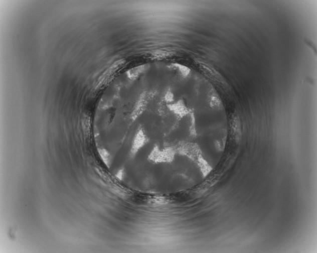 X0000102490565200808291652