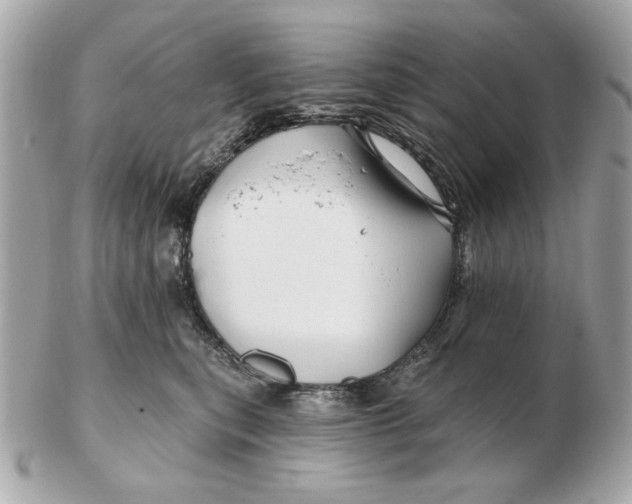 X0000102490567200808291652