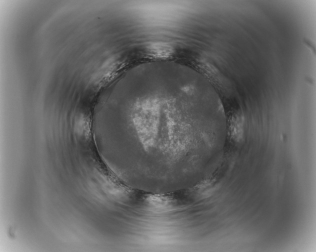 X0000102490568200808291652