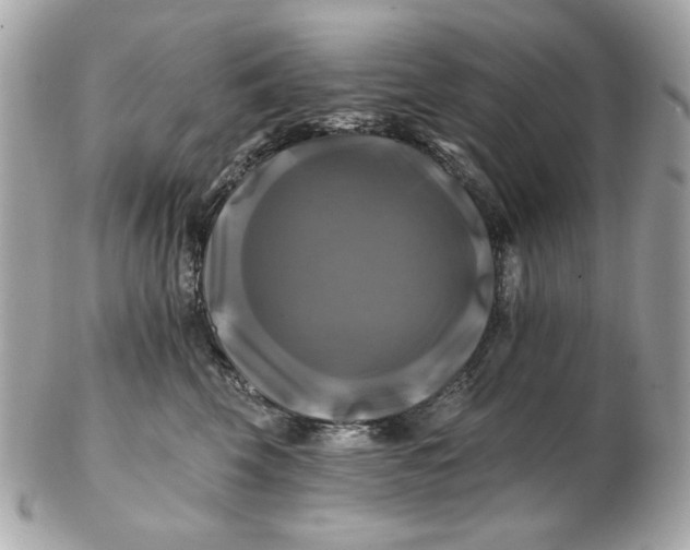 X0000102490569200808291652