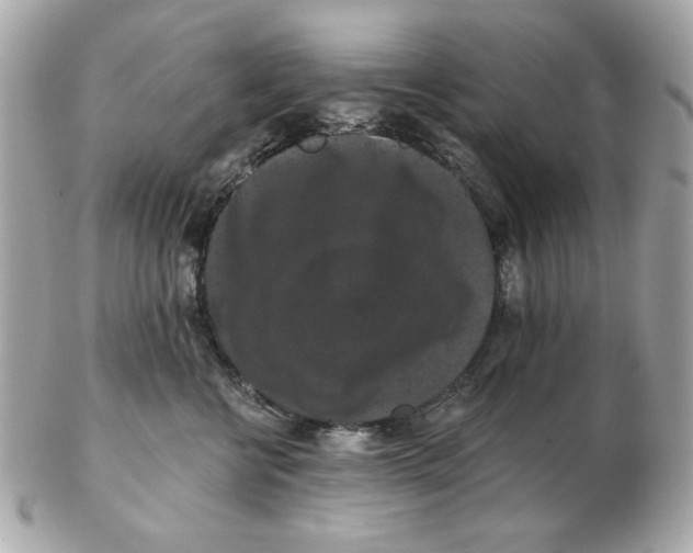 X0000102490570200808291652