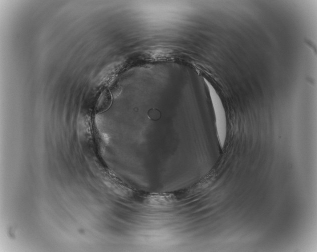 X0000102490571200808291652