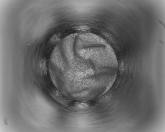 X0000102490572200808291652