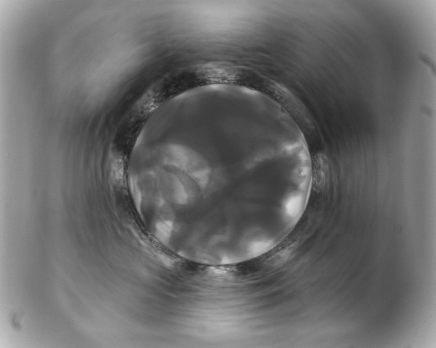 X0000102490573200808291652