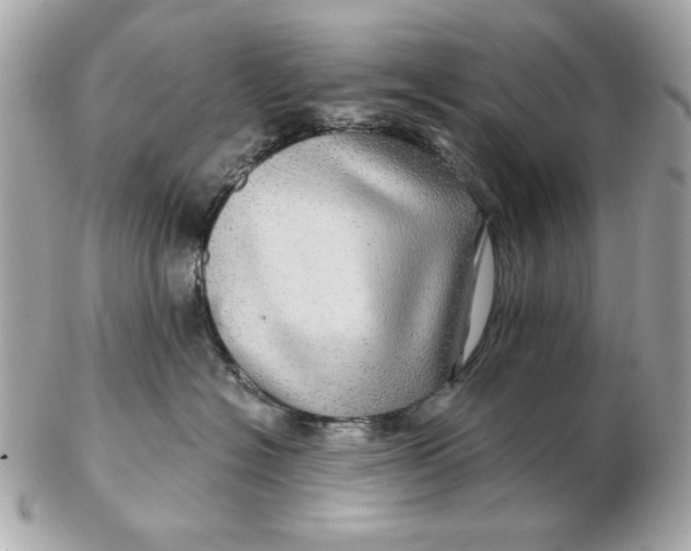 X0000102490574200808291652