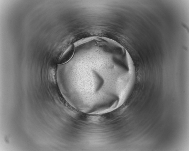 X0000102490575200808291652