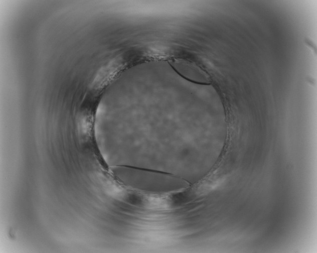 X0000102490576200808291652