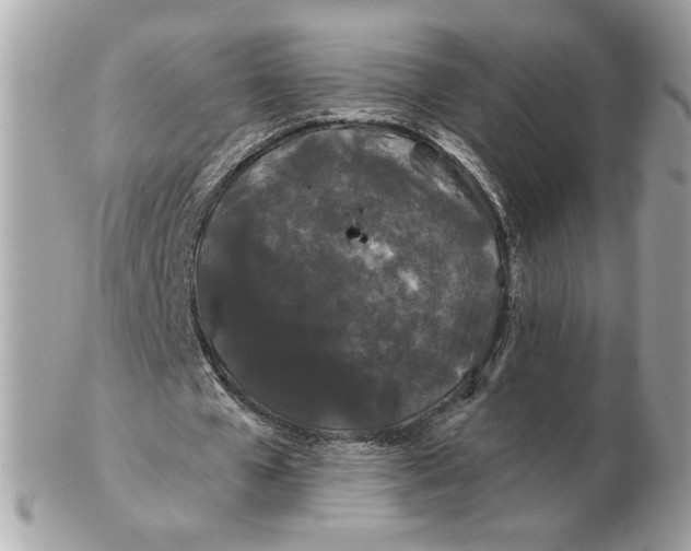 X0000102490577200808291651