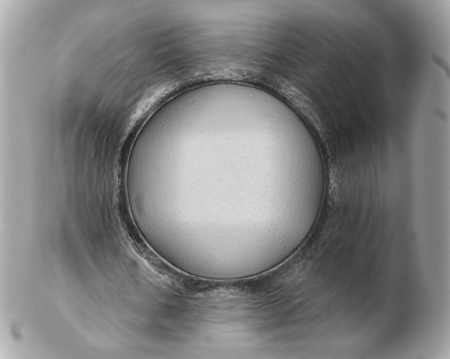 X0000102490578200808291651