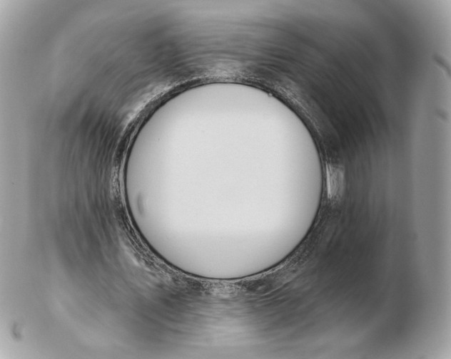 X0000102490579200808291651