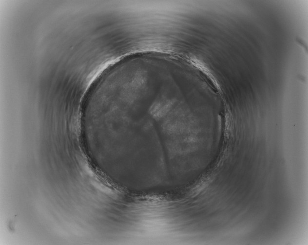 X0000102490580200808291651