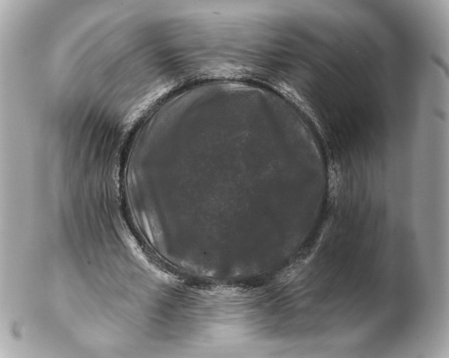 X0000102490581200808291651