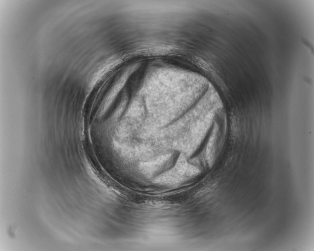 X0000102490582200808291651