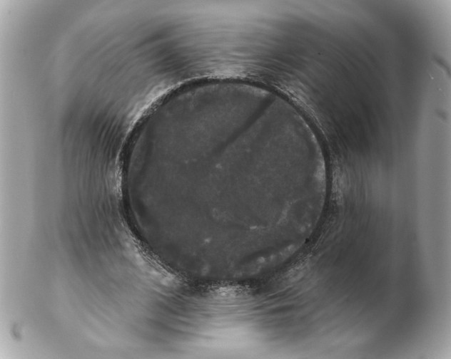 X0000102490584200808291651