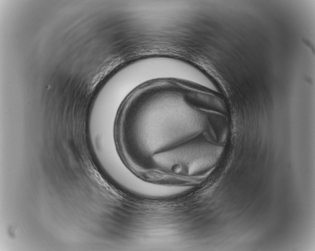 X0000102490585200808291651