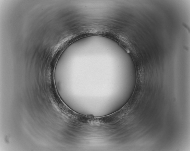 X0000102490587200808291651