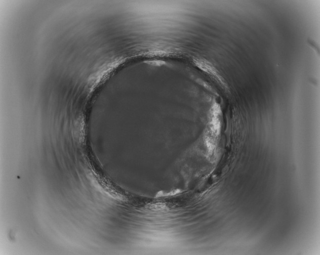 X0000102490588200808291651