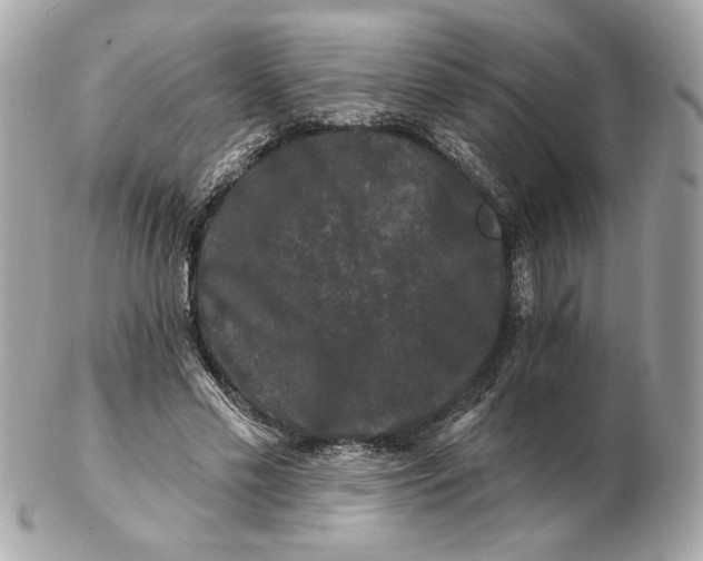 X0000102490589200808291651