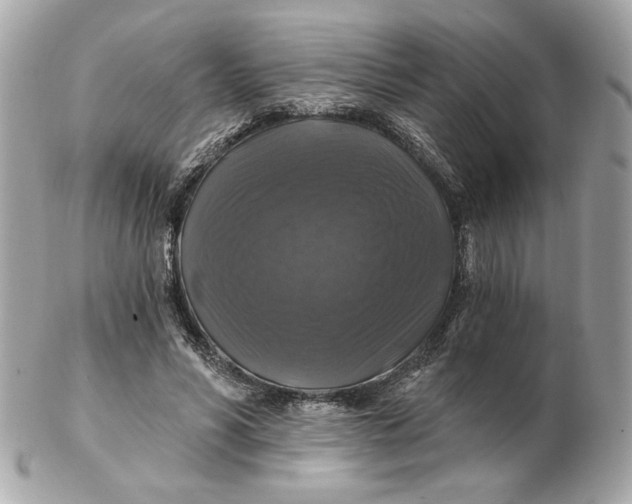 X0000102490590200808291651