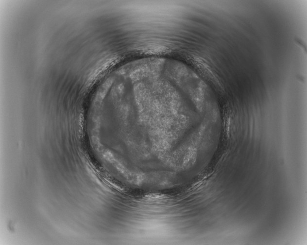 X0000102490591200808291651