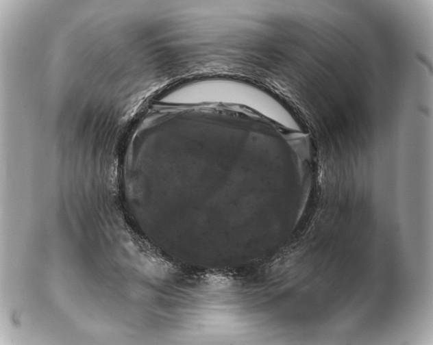 X0000102490592200808291651