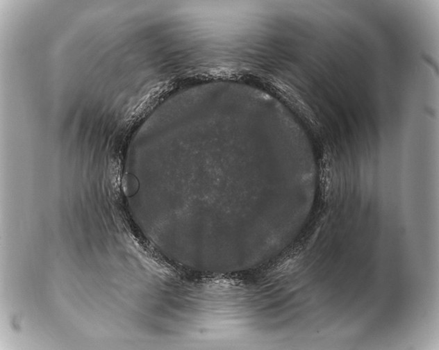 X0000102490593200808291651