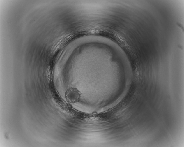 X0000102490594200808291651