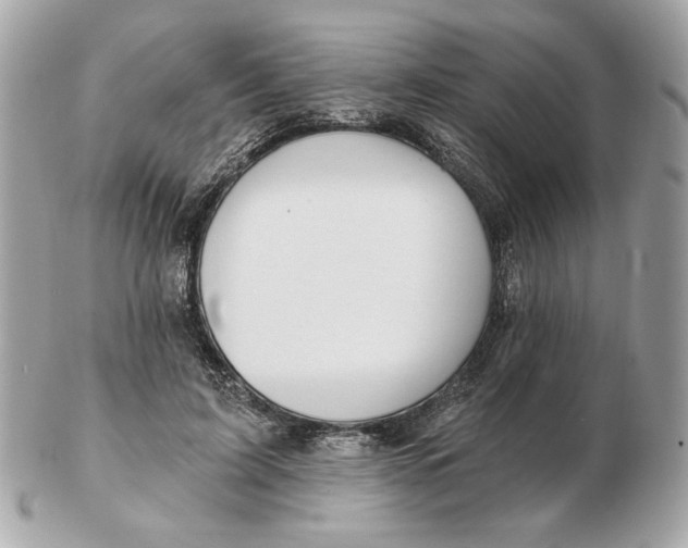 X0000102490595200808291651