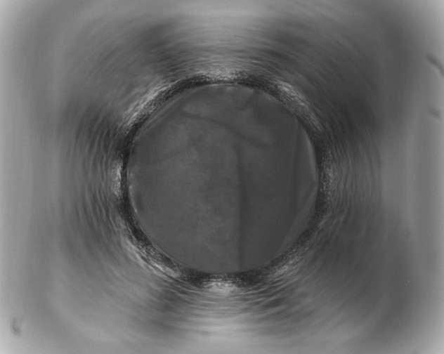 X0000102490596200808291651