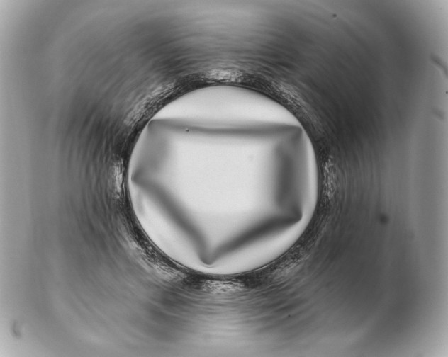 X0000102490597200808291651