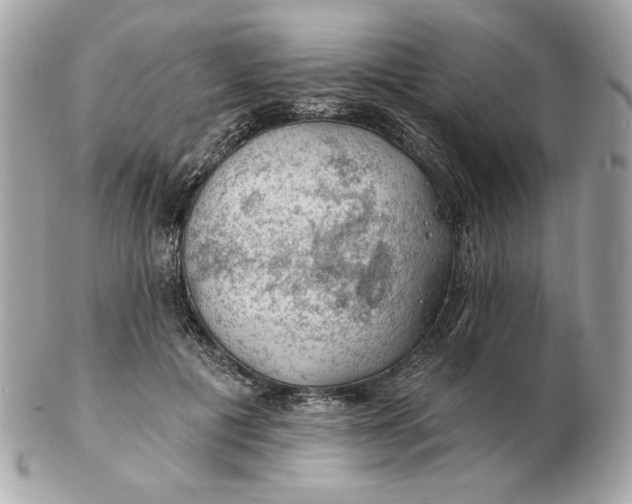 X0000102490601200808291651