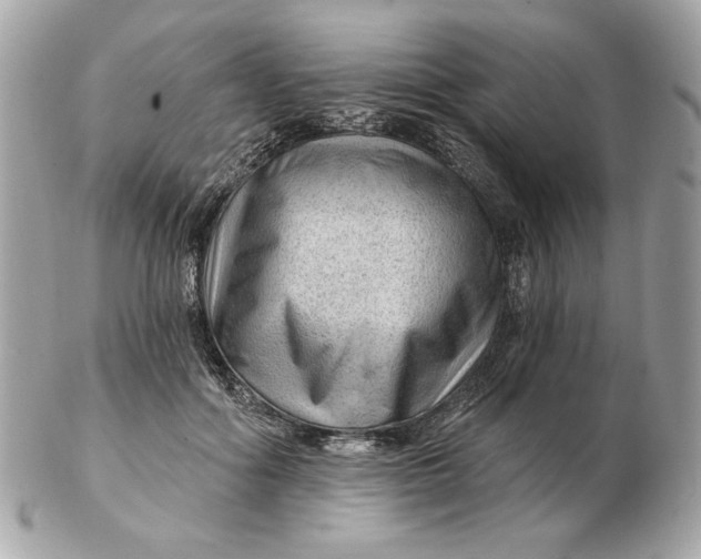 X0000102490602200808291651