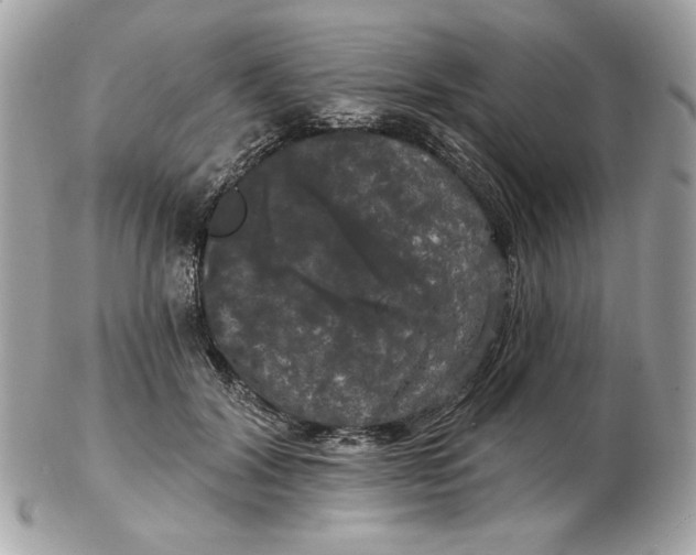 X0000102490604200808291651