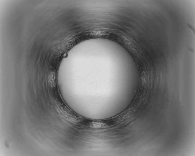 X0000102490605200808291651