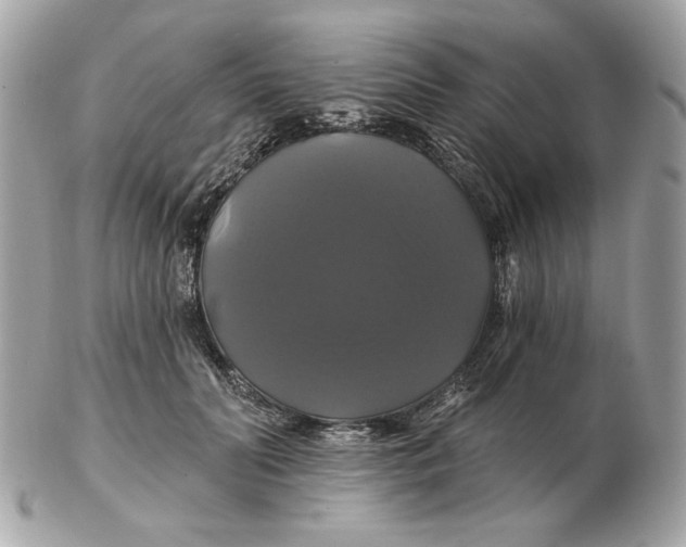 X0000102490606200808291651