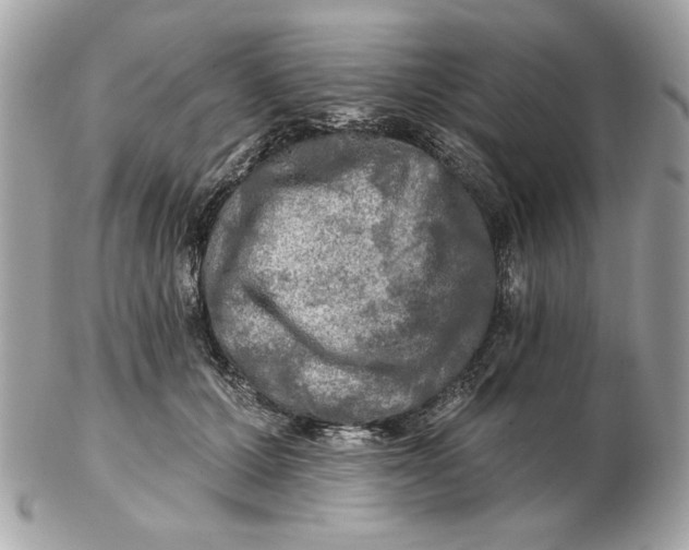 X0000102490607200808291651