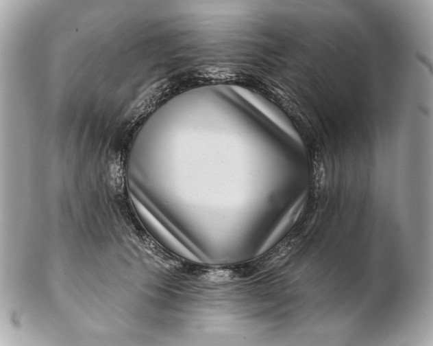 X0000102490609200808291651