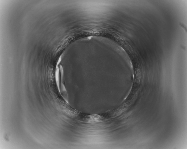 X0000102490612200808291651