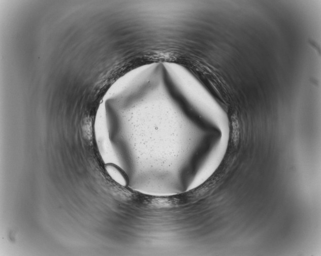 X0000102490613200808291651