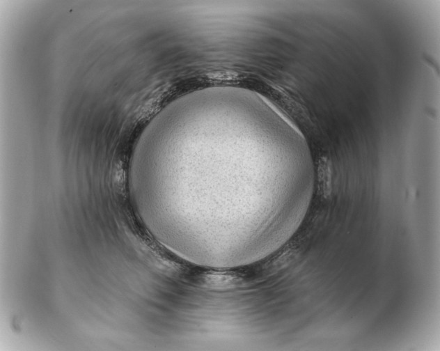 X0000102490614200808291651