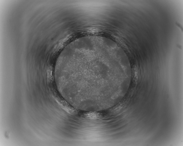 X0000102490615200808291651