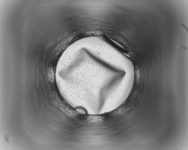 X0000102490617200808291651