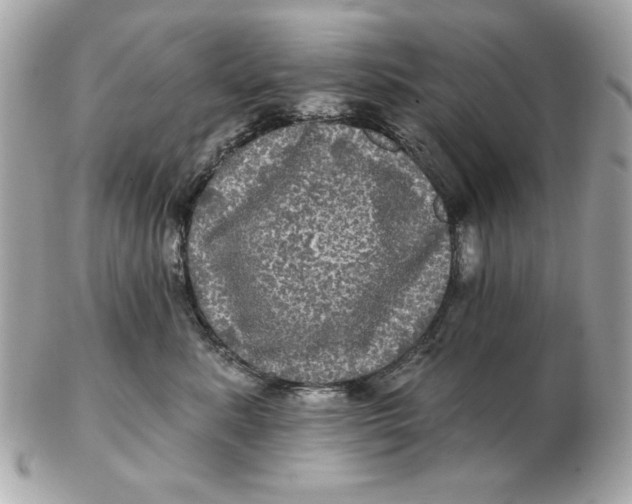 X0000102490619200808291651