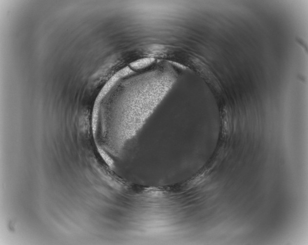 X0000102490620200808291650