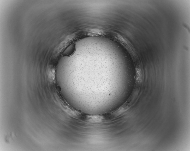 X0000102490621200808291650