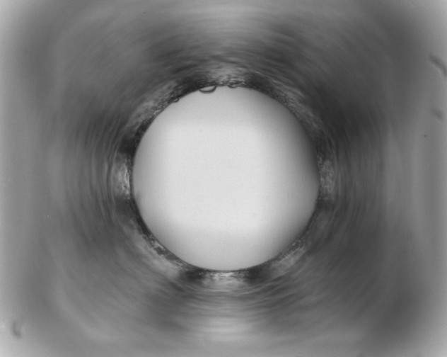 X0000102490622200808291650